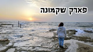 פארק שקמונה - גן לאומי על חוף הים בחיפה