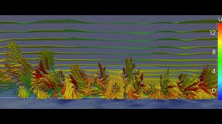 Simulation of wind fields as a wildfire approaches