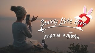 [VLOG] พิชิตยอดเขาหลวงสุโขทัย แบบ2วัน1คืน  สูงชันแค่ไหน..ไปดูกัน!! / Bunny Lives Here