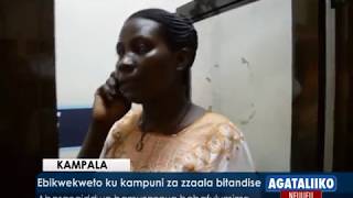 Ebikwekweto ku kampuni za zzaala bitandise