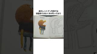 『おかしなガムボール』のロッキー・ロビンソンに関する雑学・豆知識 #shorts #雑学 #アニメ