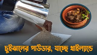 এবার তৈরি হচ্ছে চুইঝালের পাউডার, যাচ্ছে থাইল্যান্ডে | Chui Jhal | Khulna