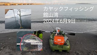 ソウダガツオが回って来た館山湾…果たして…　　　　　　　　　2024年6月9日 カヤック釣行