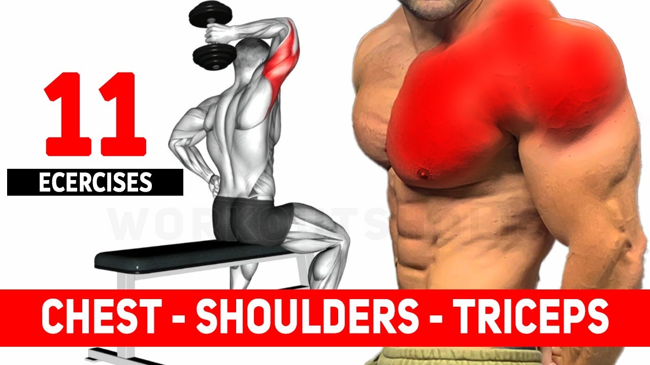 Chest, Shoulder And Triceps Workout (Only Dumbbell) - YouTube