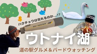 【北海道観光】移住アラサーカップル👫💓ウトナイ湖で道の駅グルメとバードウォッチングを楽しんだ👀🦢✨