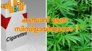 എന്താണ് കഞ്ചാവ് ? കഞ്ചാവിനേക്കാൾ അപകടമാണോ സിഗററ്റ് ?/Malayalam/World View