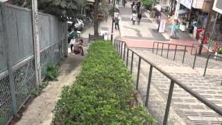 Cats in Stairs of The Yanaka Ginza 谷中銀座の階段の猫たち