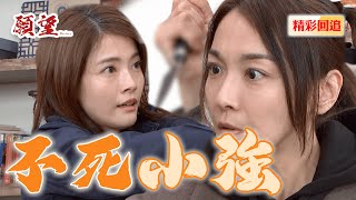 麗紅來報仇 再次心軟 蜜亞頑強生命力逃過一劫｜願望 EP115精華@setdramatw