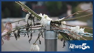 Students at Evergreen High School return to class almost two weeks after school shooting