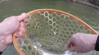 March 2022 Fly Fishing for Trout   Volant, PA