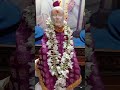 ఓం సాయి శ్రీ సాయి జయ జయ సాయి 🙏🏻✨ shiridi saibaba devotionalmood viralshorts ytshorts viralvedio sai