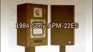 1984 Sony APM-22ES