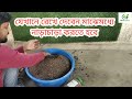 স্পেশাল মিক্স খাবার জেনে নিন তৈরি পদ্ধতি সব গাছকে দিন এই খাবার ফল ফুল সবজি mix fertilizer