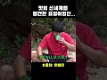 맛의 신세계를 발견한 표정이었던… 쇼츠 출처 한혜진