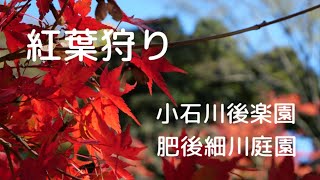 【東京街ぶら(文京区)】 - 都会の中のオアシス  小石川後楽園 ／ 肥後細川庭園の紅葉