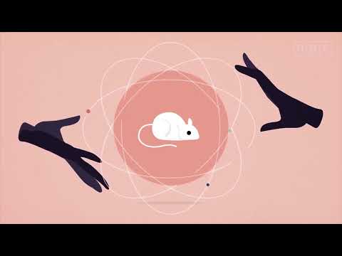 How do expectations affect our lives?