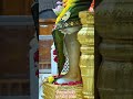 Daily Sai Darshan 24 Nov 2024