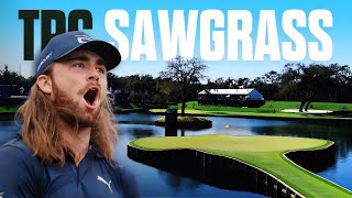 I Survived the Toughest Hole at TPC Sawgrass