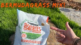 Pennington Bermudagrass overseed review with 3 weeks progress and results