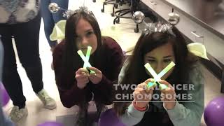 Maternal Effects and Balancer Chromosome Tutorial