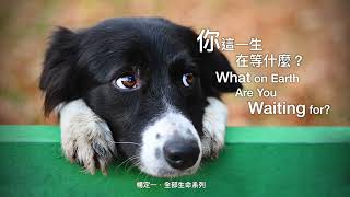 楊定一：你這一生在等什麼？What on Earth Are You Waiting for?