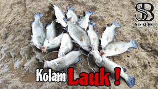 GASAK SIAKAP KOLAM LAUK || KOLAM SESUAI BERSANTAI DENGAN FAMILY || KOLAM PANCING RM3 JUGRA.