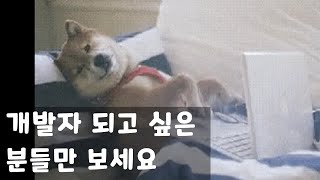 개발자 되고 싶은 분들만 보세요