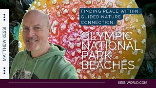 S1E6: Your stillness within — Nature Connection Meditation — Third Beach Olympic National Park