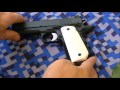 Dan Wesson Guardian Sarges Grips Ivory