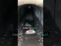 the horrifying old inunaki tunnel in japan shorts