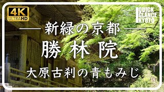 勝林院 【京都 青もみじ】自然豊かな大原。天台声明の根本道場の青もみじをご覧ください [No.340]