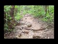 the forest path to pavana narasimha temple at ahobilam