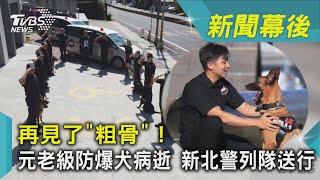 再見了「粗骨」！ 元老級防爆犬病逝 新北警列隊送行｜TVBS新聞