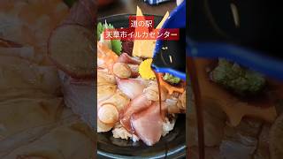 道の駅天草市イルカセンターで海鮮丼を食べる#shorts