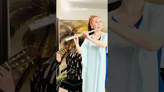 Desafinado  Antônio Carlos Jobim  ジョビン / デサフィナード 「お部屋でフルートコンサート（257）」MISAO FLUTE 波戸崎操 #shorts