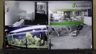 Motion Detection & Email Alert Setup