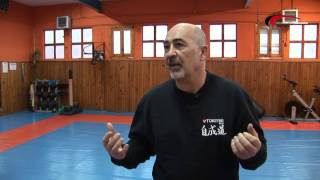 JISEIDO TOKITSU RYU EN ARTES MARCIALES TELEVISIÓN