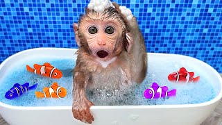 Monkey Baby Bon Bon bath in a bathtub with rainbow fish and play in the park with ducklings