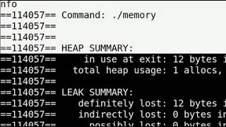 Using Valgrind to detect a bug