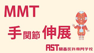 【関西医科専門学校】MMT手関節伸展