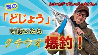 ソフトルアーで狙うタチウオ釣り！アクション・実用性について