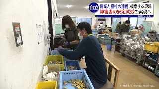 【金曜ジャーナル】農業と福祉の連携 実情と今後・後編