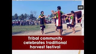 Tribal community celebrates traditional harvest festival - ANI News