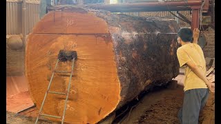 Extreme Wood Cutting Sawmill Machines, Cheesy Wood Giant 1000 Year Old, Woodworking Factory