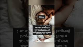 മുലപ്പാൽ വർധിക്കാൻ കഴിക്കേണ്ട ഭക്ഷണങ്ങൾ best food for increase breast milk Malayalam video #shorts