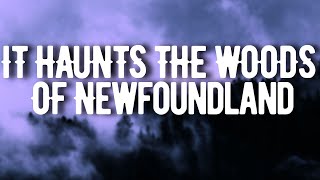 The Terrifying Legend of Newfoundland's Beast - Ghost Stories w/ Rain & Thunder Sounds | Mr. Davis