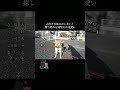 姉犬どこ行った！？お姉ちゃんを探す柴犬が可愛い 甲斐犬 柴犬 youtubeshorts