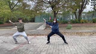 Chen Style Taijiquan Xinjia Er Lu - 6. Deflect Downward, Intercept and Punch