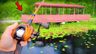 This POND is LOADED w/ Monster Bass (Bank Fishing)