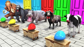 Water Balloon Challenge With Gorilla Cow Mammoth Elephant Choose The Right Rainbow Door With Gorilla